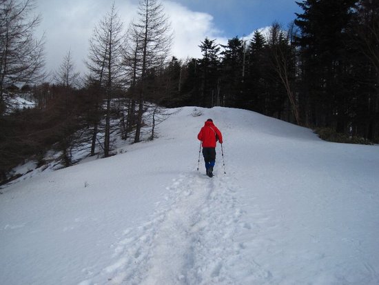 雲取山・山頂でアタックされました?(悪夢再び編)
