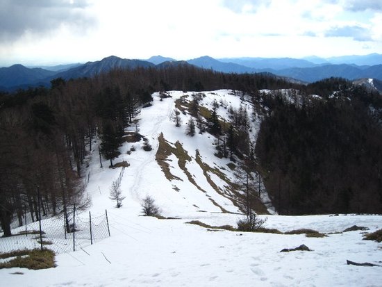 雲取山・山頂でアタックされました?(悪夢再び編)