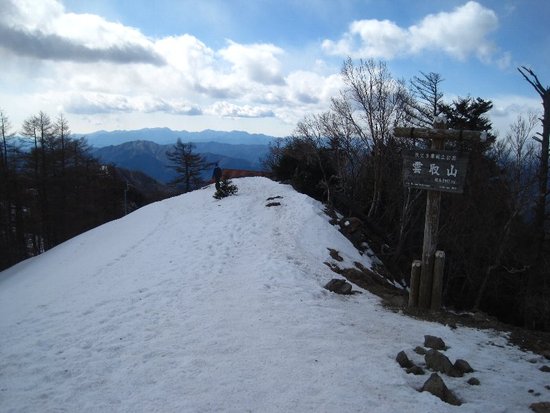 雲取山・山頂でアタックされました?(悪夢再び編)