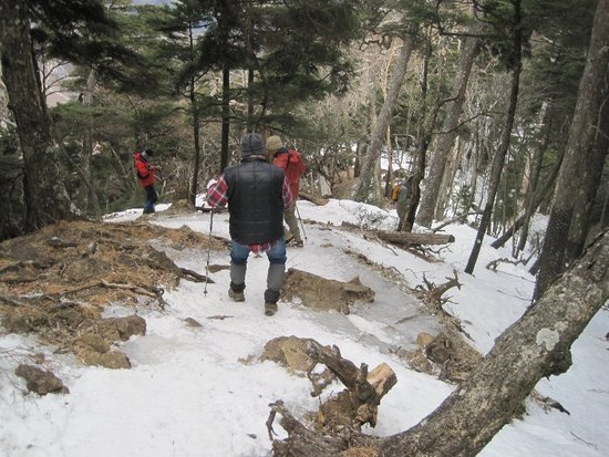 雲取山・山頂でアタックされました?(悪夢再び編)