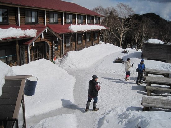 雲取山・山頂でアタックされました?(悪夢再び編)
