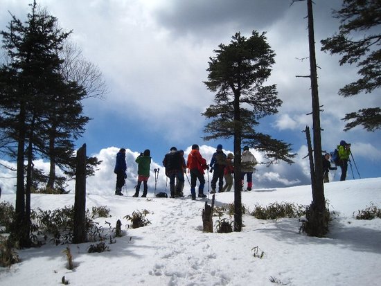 雲取山・山頂でアタックされました?(悪夢再び編)