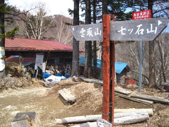 雲取山・山頂でアタックされました?(悪夢再び編)