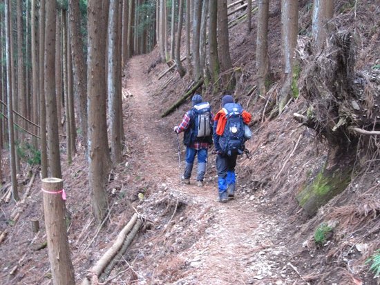 雲取山・山頂でアタックされました?(悪夢再び編)