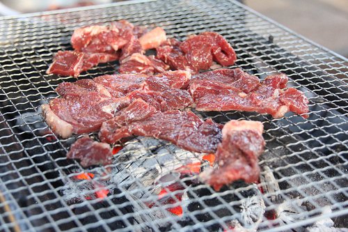 巴川オートキャンプ場で鹿肉まつり!