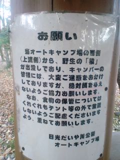 やられた~(爆)