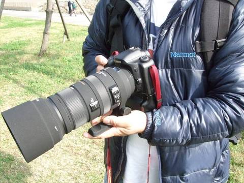 400ミリで盗撮・・・!(滝汗)