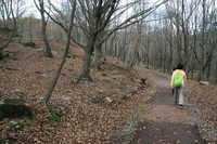 * 秋の峰山高原と砥峰高原 * 峰山高原キャンプ場