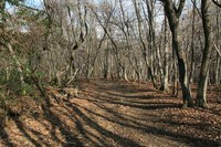 * 秋の峰山高原と砥峰高原 * 峰山高原キャンプ場