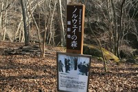 * 秋の峰山高原と砥峰高原 * 峰山高原キャンプ場
