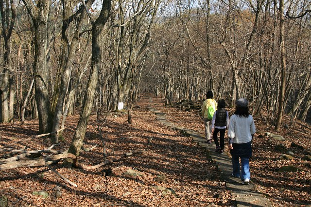 * 秋の峰山高原と砥峰高原 * 峰山高原キャンプ場