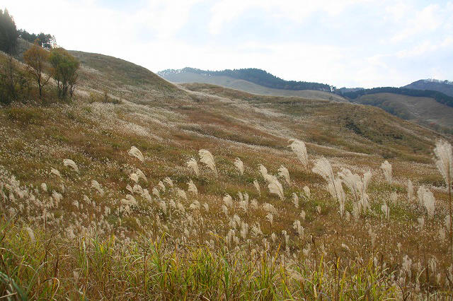 * 秋の峰山高原と砥峰高原 * 峰山高原キャンプ場