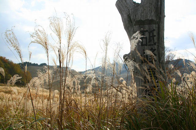 * 秋の峰山高原と砥峰高原 * 峰山高原キャンプ場