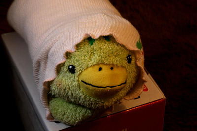 * カメラを買い替えました~♪ *