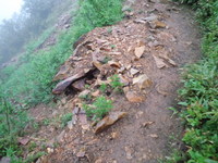 * 最終日 冷池山荘とテント場 * 鹿島槍