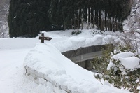 * 雪の毛無山登山 出発編* 岡山県新庄村