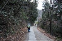 * 氷瀑 七曲滝 百閒滝 * 六甲山 有馬