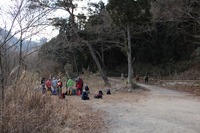 * 氷瀑 七曲滝 百閒滝 * 六甲山 有馬