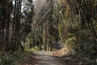 * 氷瀑 七曲滝 百閒滝 * 六甲山 有馬