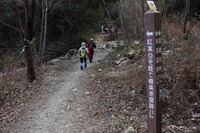 * 氷瀑 七曲滝 百閒滝 * 六甲山 有馬