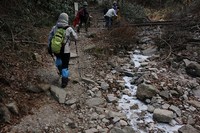 * 氷瀑 七曲滝 百閒滝 * 六甲山 有馬