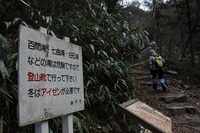 * 氷瀑 七曲滝 百閒滝 * 六甲山 有馬