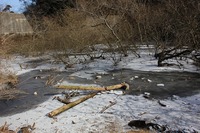* 氷瀑 七曲滝 百閒滝 * 六甲山 有馬