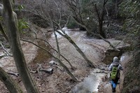 * 氷瀑 七曲滝 百閒滝 * 六甲山 有馬