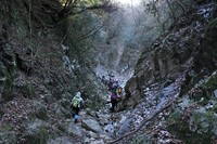 * 氷瀑 七曲滝 百閒滝 * 六甲山 有馬