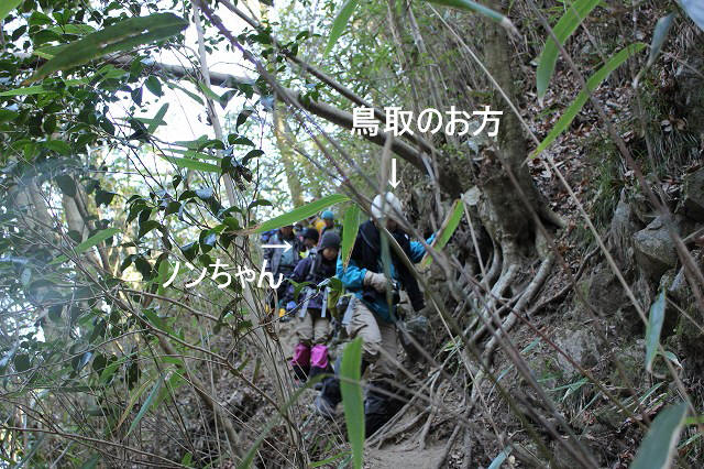 * 氷瀑 七曲滝 百閒滝 * 六甲山 有馬