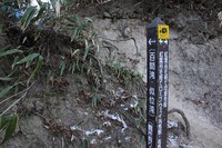 * 氷瀑 七曲滝 百閒滝 * 六甲山 有馬