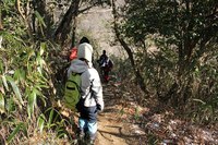 * 氷瀑 七曲滝 百閒滝 * 六甲山 有馬