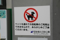 * イルミキャンプ・・再び * 備北でサイクリング♪