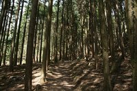 * 2011 お山モード IN * 明神山 兵庫県