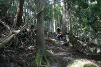 * 2011 お山モード IN * 明神山 兵庫県
