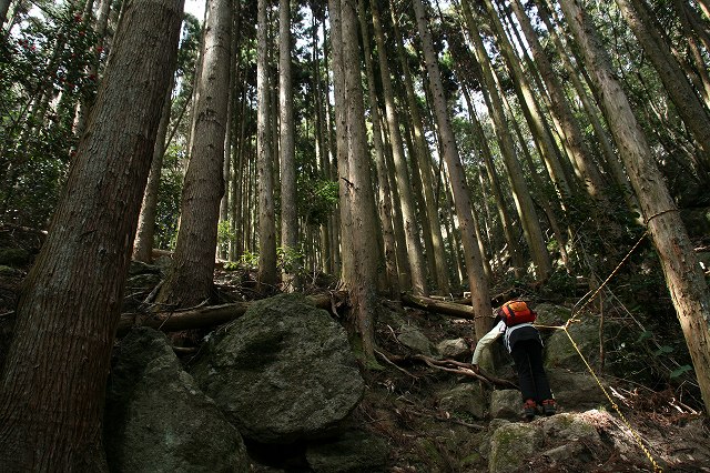 * 2011 お山モード IN * 明神山 兵庫県