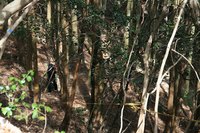 * 2011 お山モード IN * 明神山 兵庫県