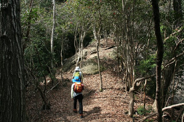 * 2011 お山モード IN * 明神山 兵庫県