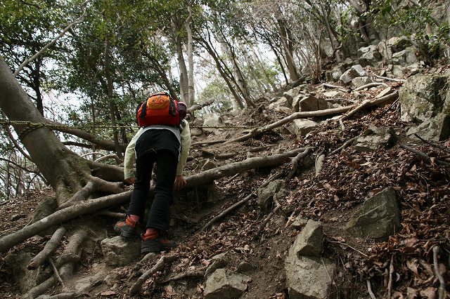 * 2011 お山モード IN * 明神山 兵庫県