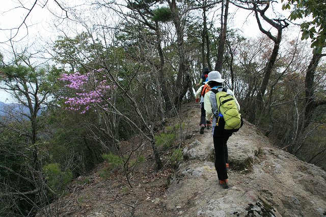 * 2011 お山モード IN * 明神山 兵庫県