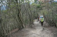 * 2011 お山モード IN * 明神山 兵庫県