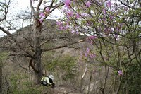* 2011 お山モード IN * 明神山 兵庫県