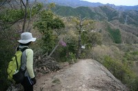 * 2011 お山モード IN * 明神山 兵庫県