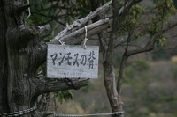 * 2011 お山モード IN * 明神山 兵庫県