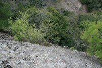 * 2011 お山モード IN * 明神山 兵庫県