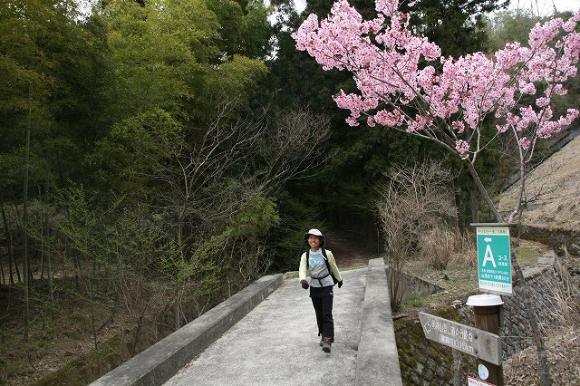 * 2011 お山モード IN * 明神山 兵庫県
