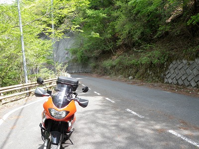 ヤビツ峠からの、早戸川林道