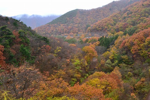 2015車中泊の旅 in 山梨(紅葉狩編)