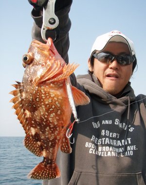 敦賀沖から越前岬に、ジギング!