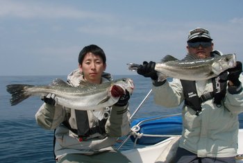 敦賀沖から越前岬に、ジギング!
